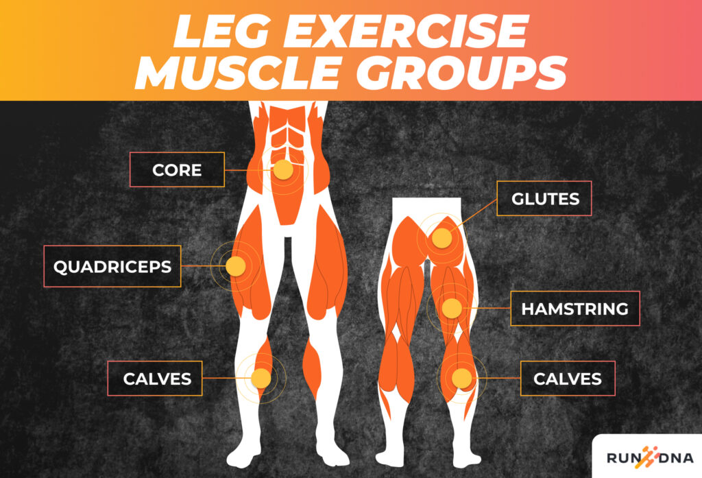 Anatomical illustration highlighting runner's muscle groups benefiting from lifting exercises.