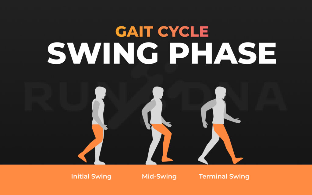 Swing Phase